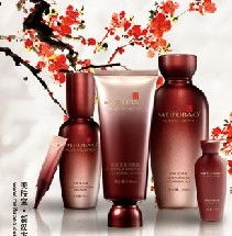 美膚寶化妝品: 加盟店策略與計算機網絡技術開發的融合